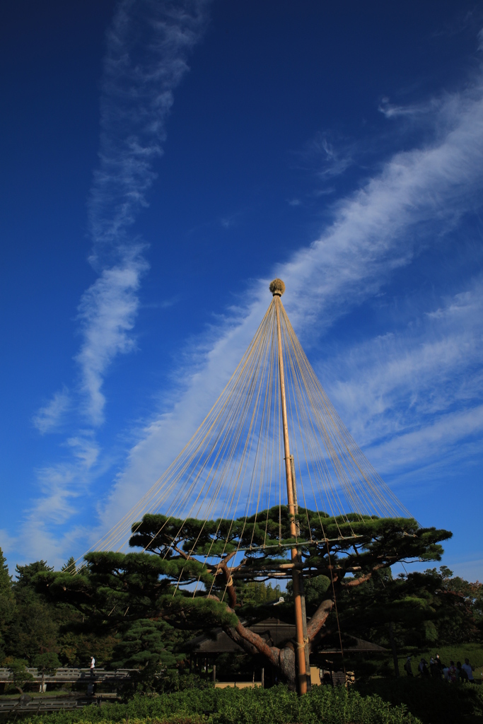 2022昭和記念公園