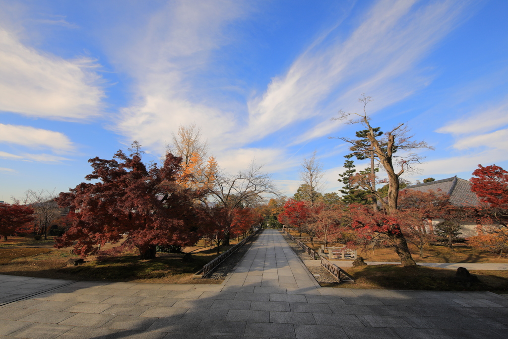 2021年京都　智積院④