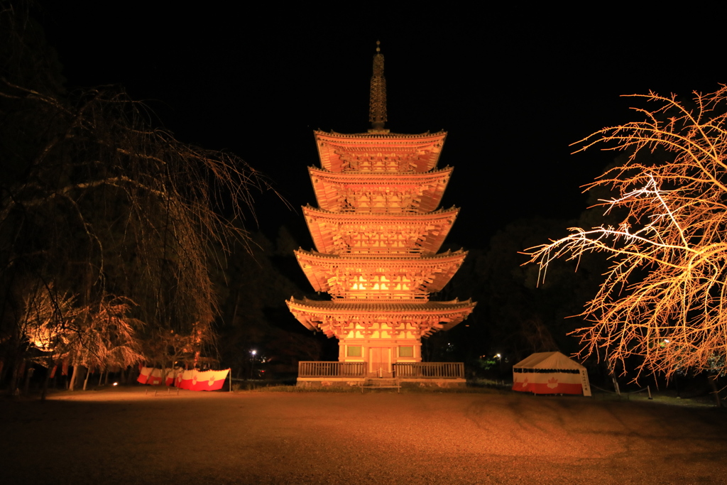 2021年京都　醍醐寺ライトアップ⑨