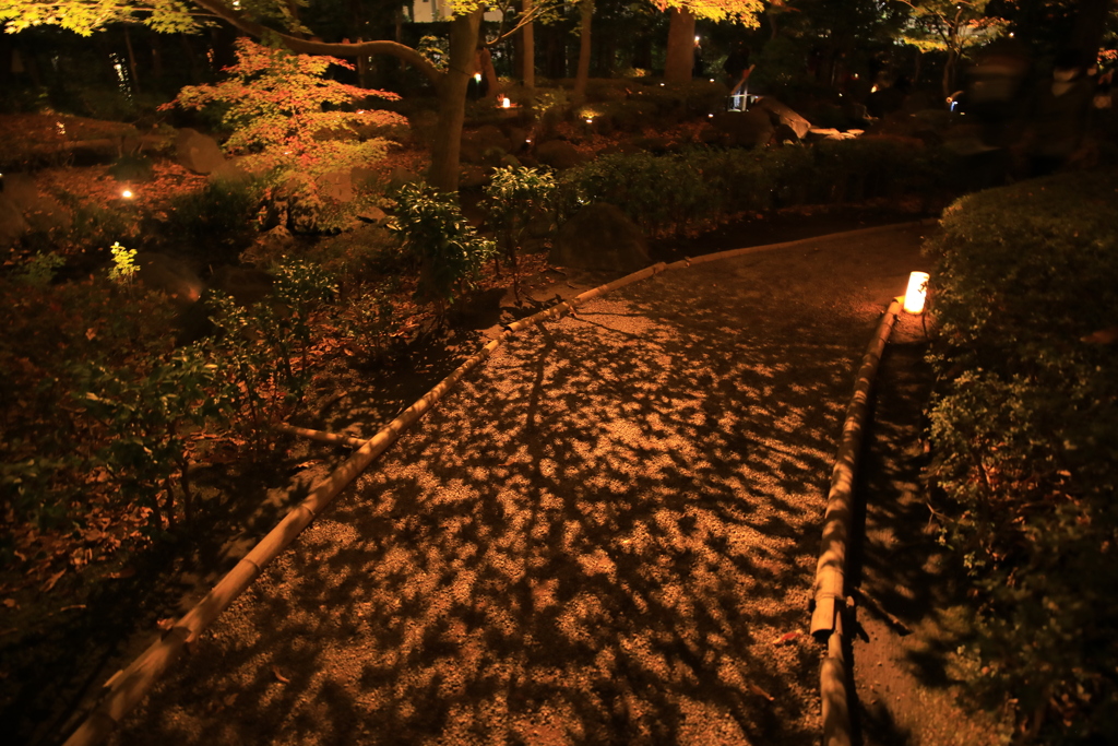 2022年大田黒夜⑥