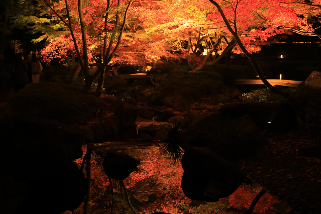 2022年大田黒夜⑦