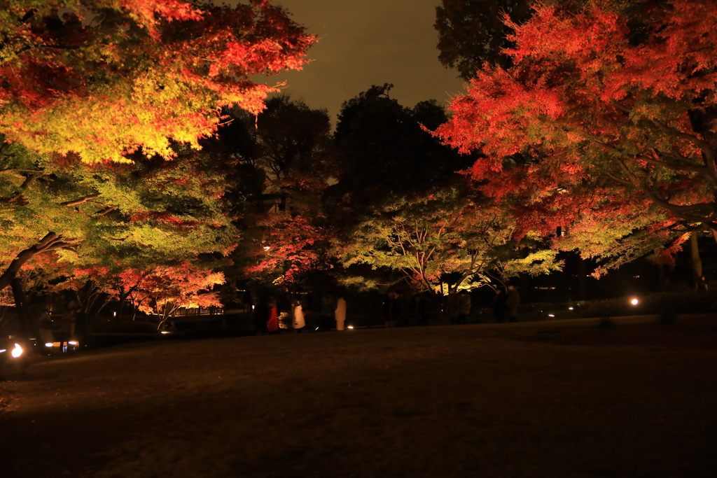 2022年大田黒夜⑭