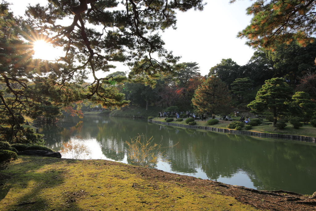 2021年庭園