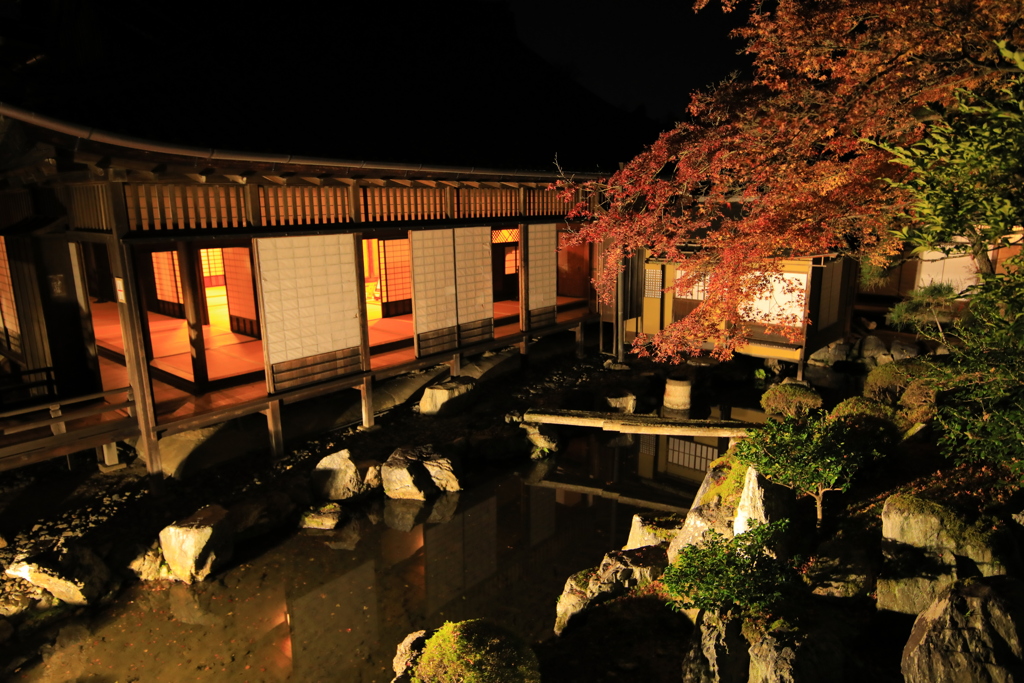 2021年京都　醍醐寺ライトアップ④