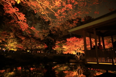 2022年大田黒夜⑪