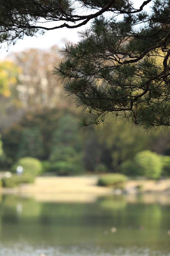 2021年六義園