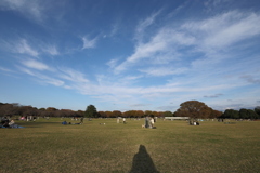 2021年昭和記念公園秋⑨