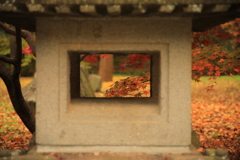 2021年九品寺浄真寺⑦