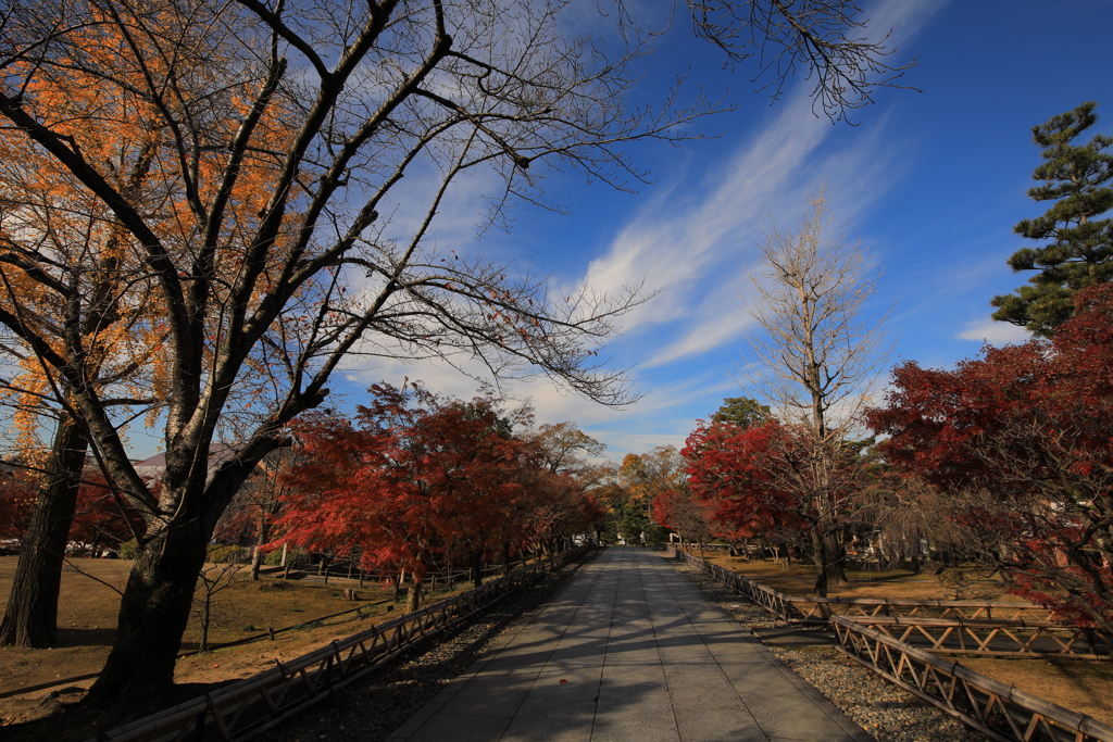 2021年京都　智積院⑤