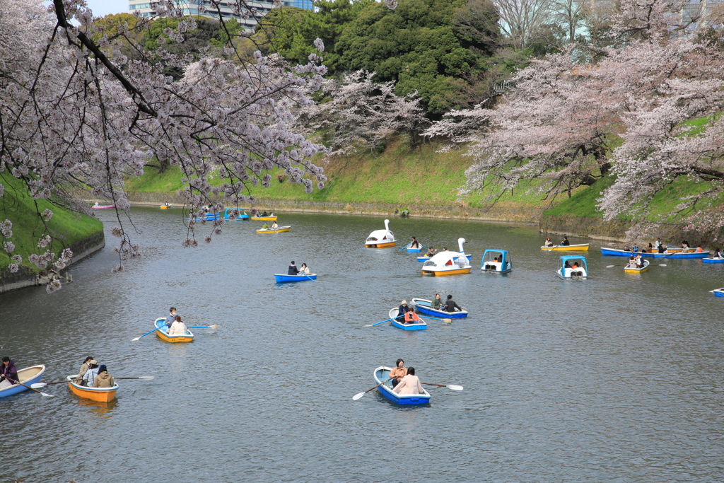 2022年千鳥ヶ淵③