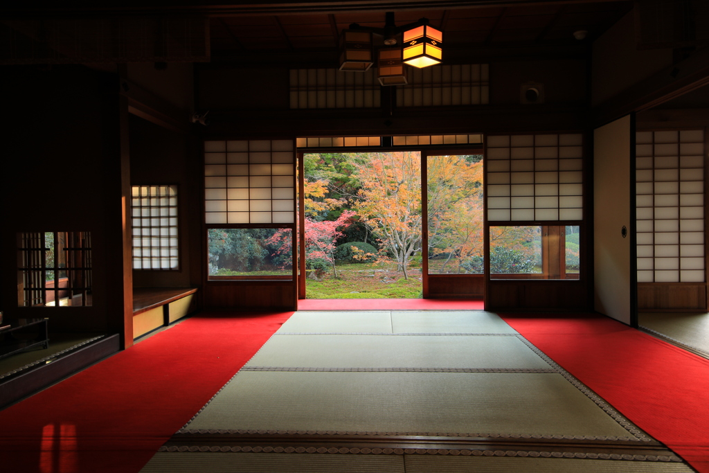 2021年京都　雲龍院⑤