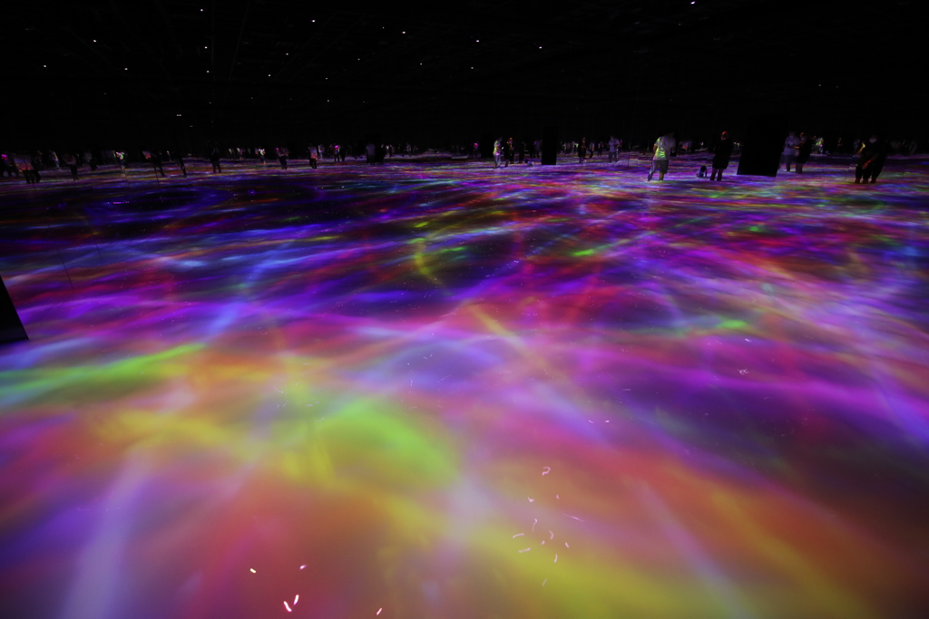 2020年チームラボ豊洲会場