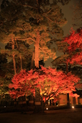 2022年大田黒夜⑤