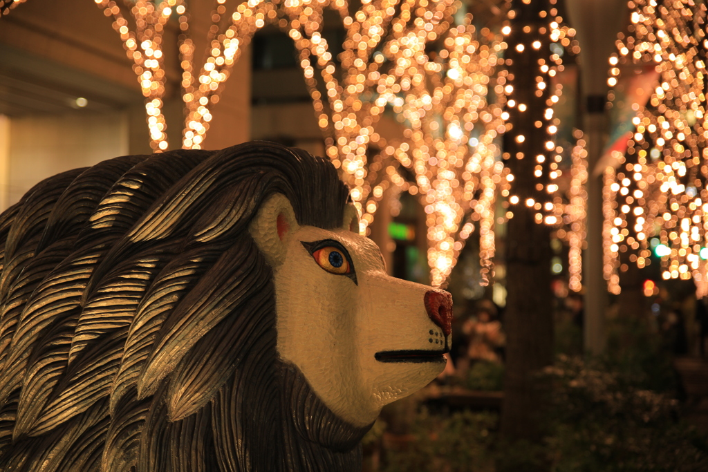 2021年最後の撮影③