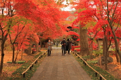 2021年九品寺浄真寺②