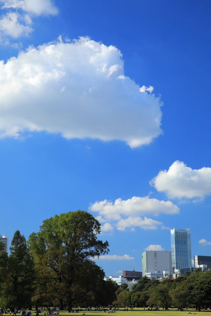 CPLフィルター③