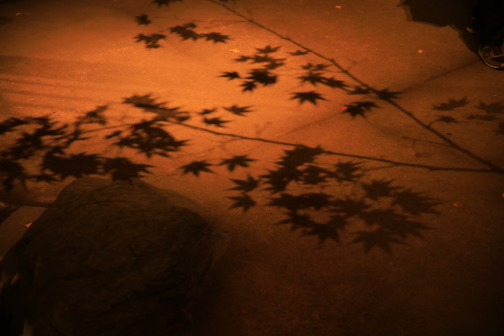 2022年大田黒夜⑤