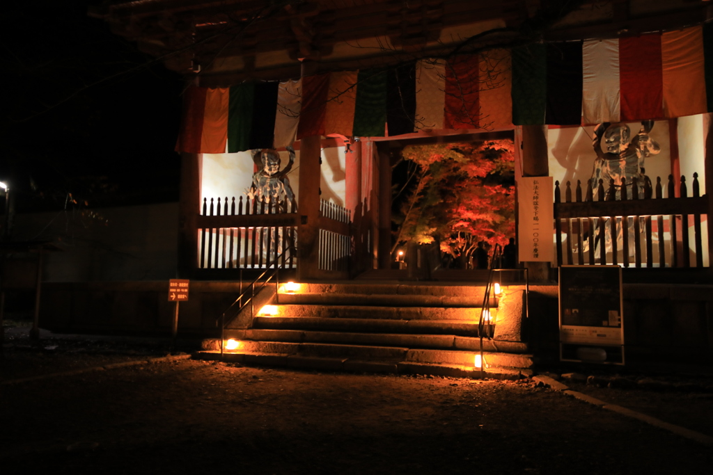 2021年京都　醍醐寺ライトアップ⑦