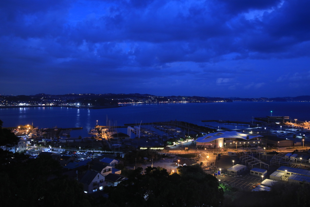 2020年最後のイルミネーション