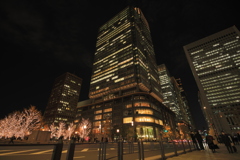 2020年東京駅イルミネーション