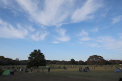 2021年昭和記念公園秋⑪