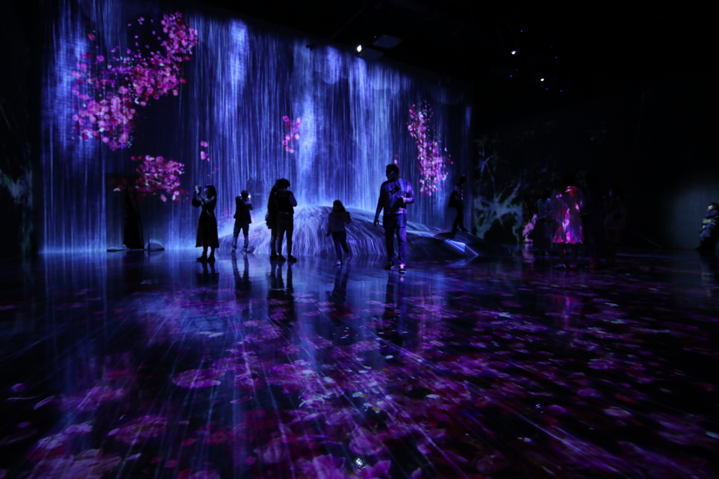 2020年チームラボお台場会場