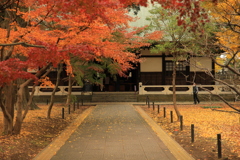 2021年九品寺浄真寺⑤