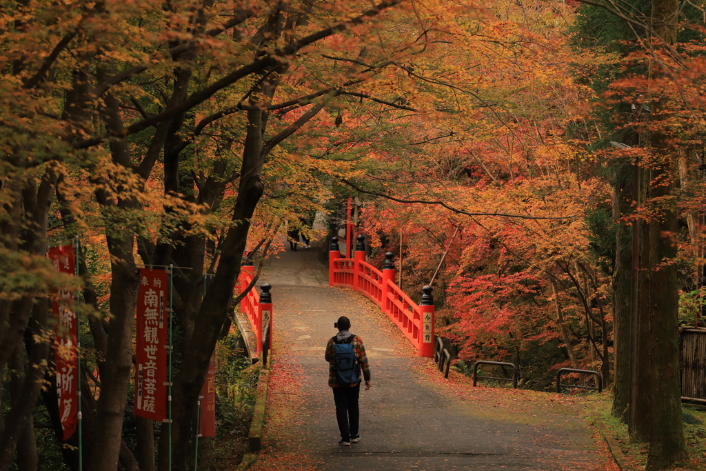 2021年京都　今熊野観音寺⑥