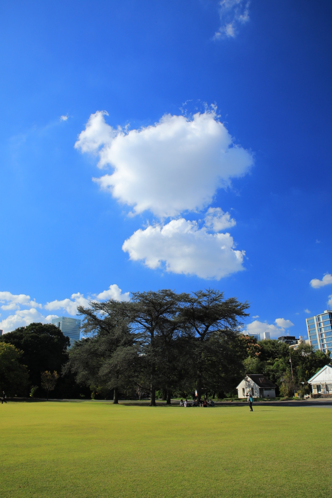 CPLフィルター①