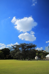 CPLフィルター①