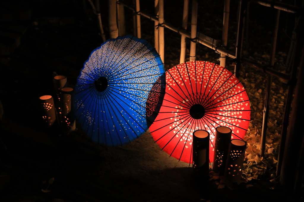 2022年大田黒夜②