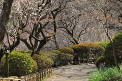 2022年京王百草園③