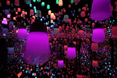 2020年チームラボお台場会場