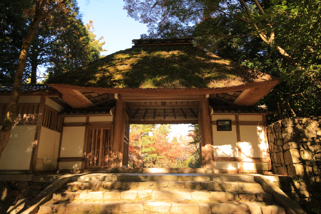 2021年京都　法然院①
