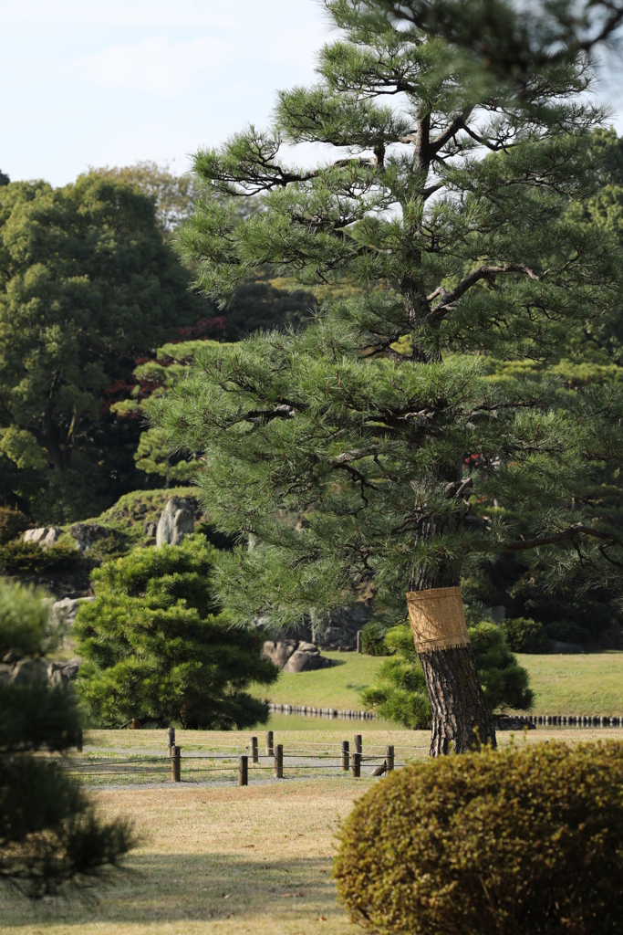 2021年六義園