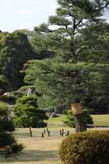 2021年六義園