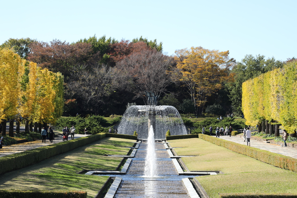 2021年昭和記念公園