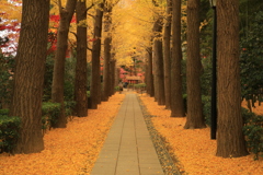 2021年大田黒公園①