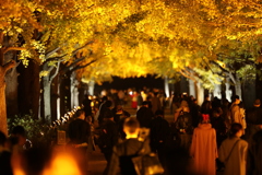 2020年昭和記念公園ライトアップ