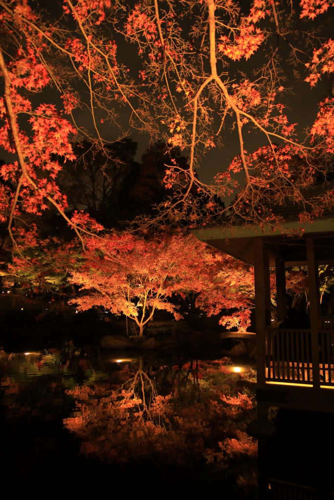 2022年大田黒夜⑩