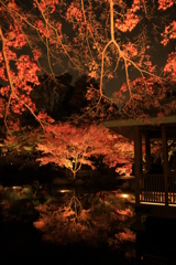 2022年大田黒夜⑩