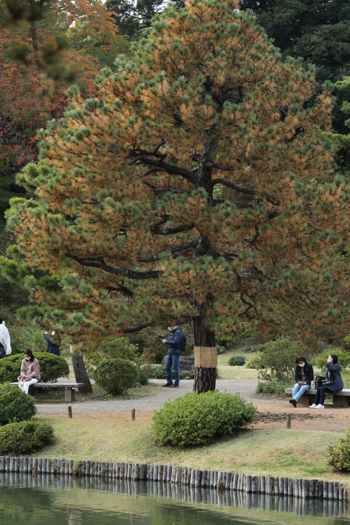 2021年六義園