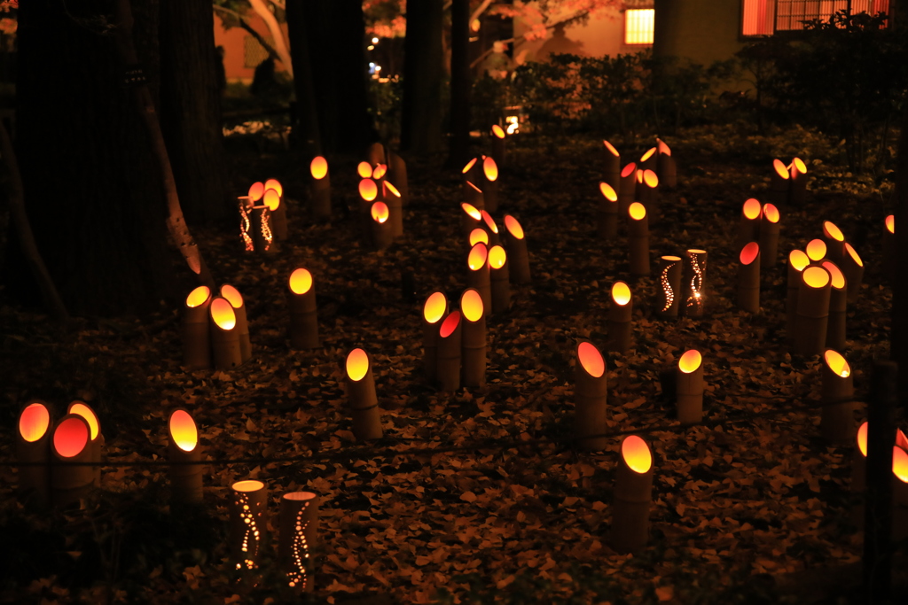 2022年大田黒夜③