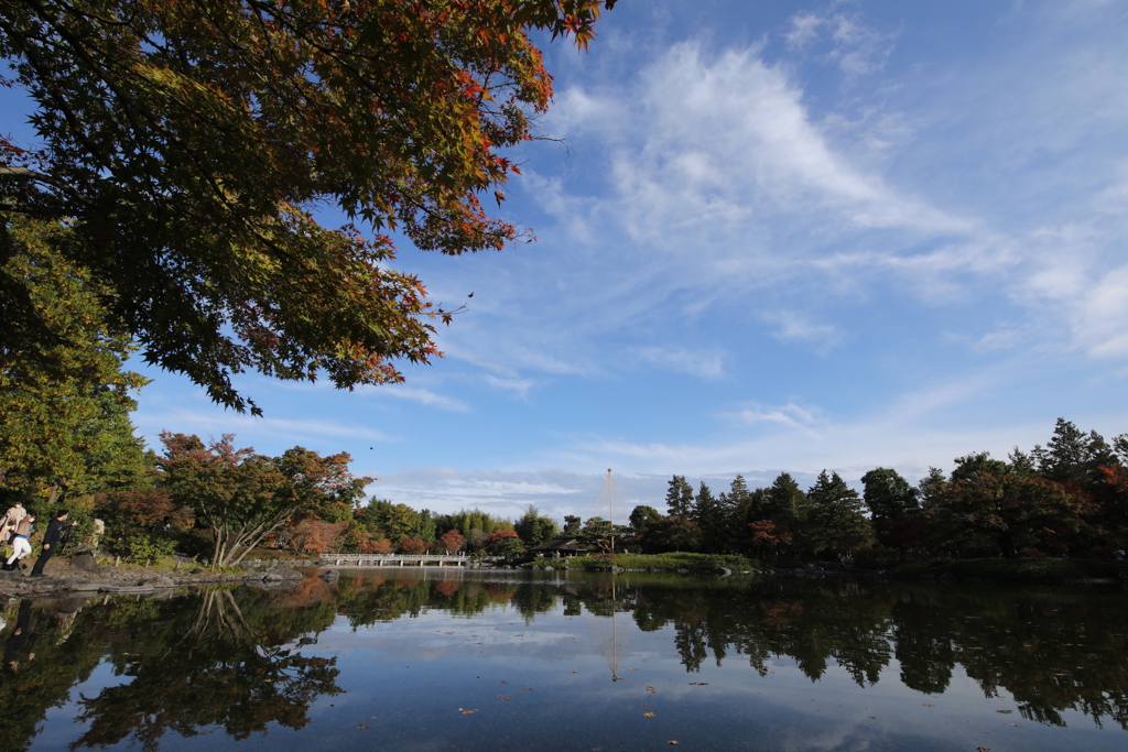 2021年昭和記念公園秋④