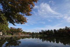 2021年昭和記念公園秋④