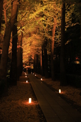 2022年大田黒夜①