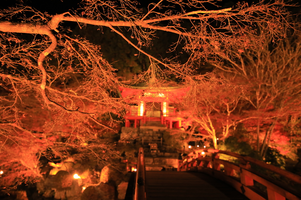 2021年京都　醍醐寺ライトアップ⑩