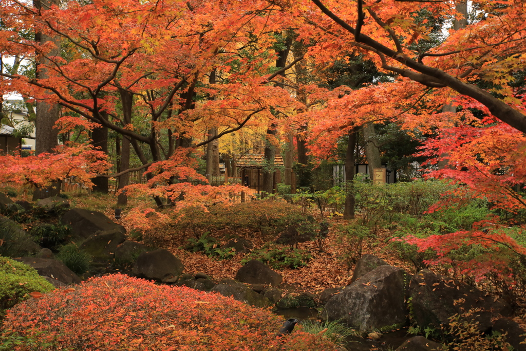 2021年大田黒公園⑤