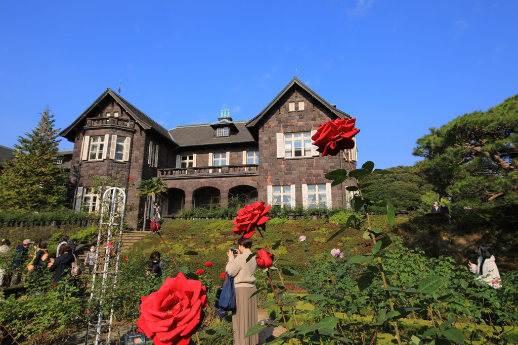 2021年旧古河庭園