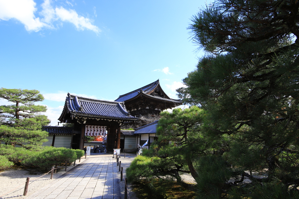 2020_1129_122407-IMG_7658